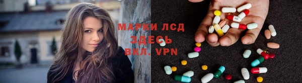 прущие грибы Баксан