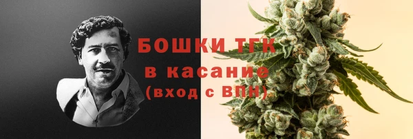 прущие грибы Баксан