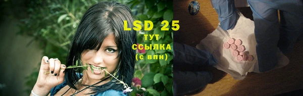 PSILOCYBIN Балахна