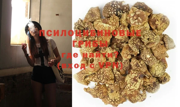 прущие грибы Баксан