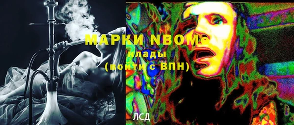 прущие грибы Баксан