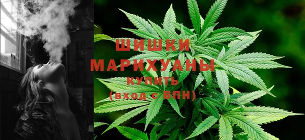 PSILOCYBIN Балахна