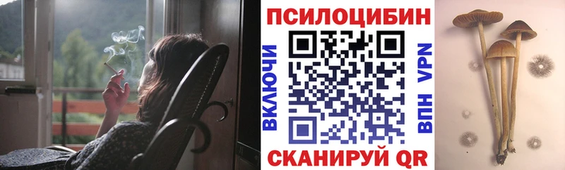Псилоцибиновые грибы прущие грибы  Ульяновск 